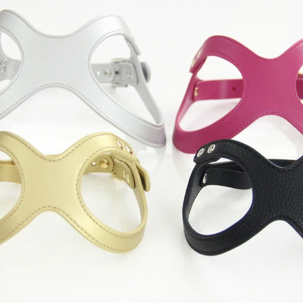 To Beg for Accessories and Treats Premium Vegan Dog Harness Size Medium - Picture 3 of 5